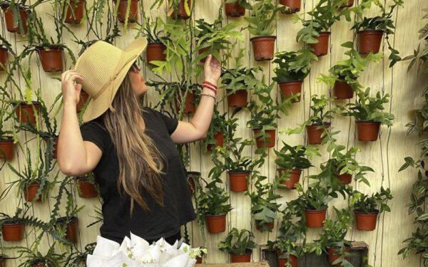 Decora tus macetas y jardines al estilo de Lady Suculenta