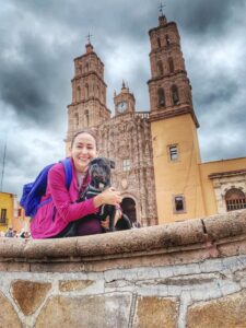 Guanajuato hoteles pet friendly