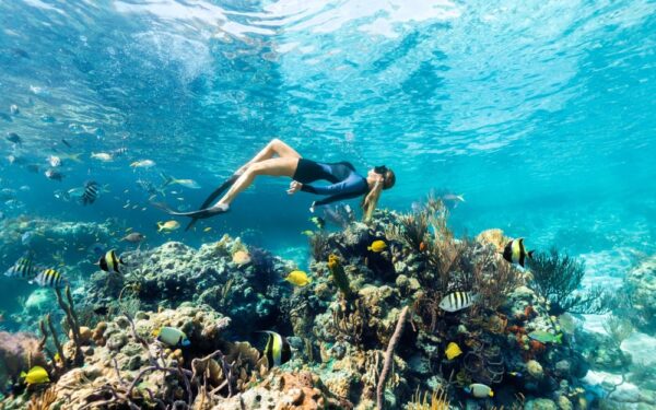 Explora los tesoros submarinos de la barrera de coral de Andros, en las Islas de Las Bahamas