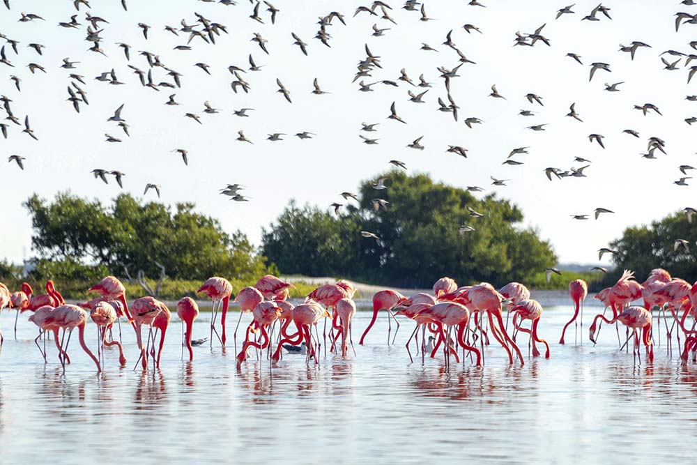 Ecoturismo en Yucatán: experiencias que inspiran