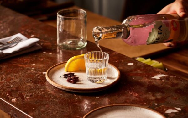 Opciones imperdibles para celebrar el Día Internacional del Tequila