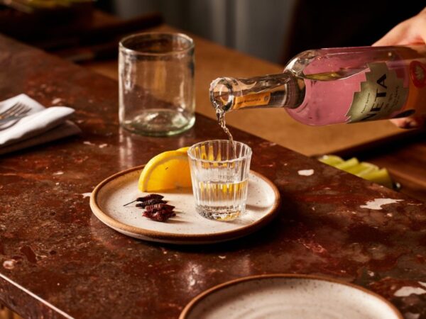 Opciones imperdibles para celebrar el Día Internacional del Tequila