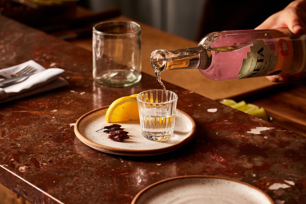 Opciones imperdibles para celebrar el Día Internacional del Tequila