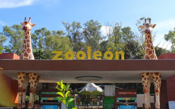 Visita León y lánzate al ZooLeón en estas vacaciones de verano