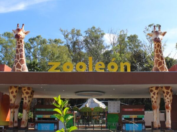 Visita León y lánzate al ZooLeón en estas vacaciones de verano
