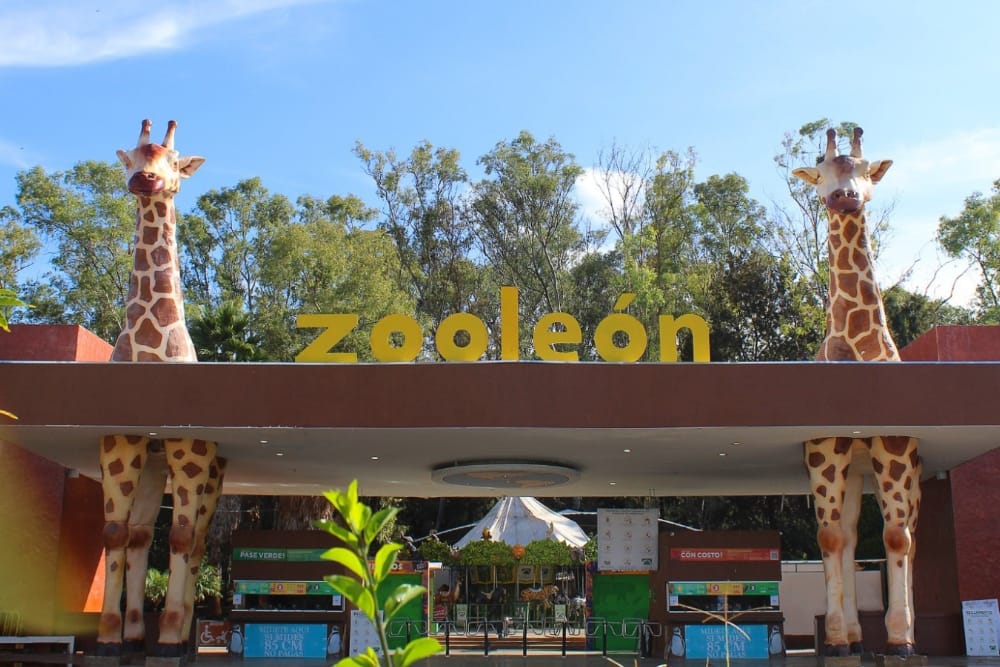 Visita León y lánzate al ZooLeón en estas vacaciones de verano