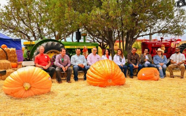 Festival Menonita de Otoño 2026: El encuentro cultural y gastronómico de Chihuahua