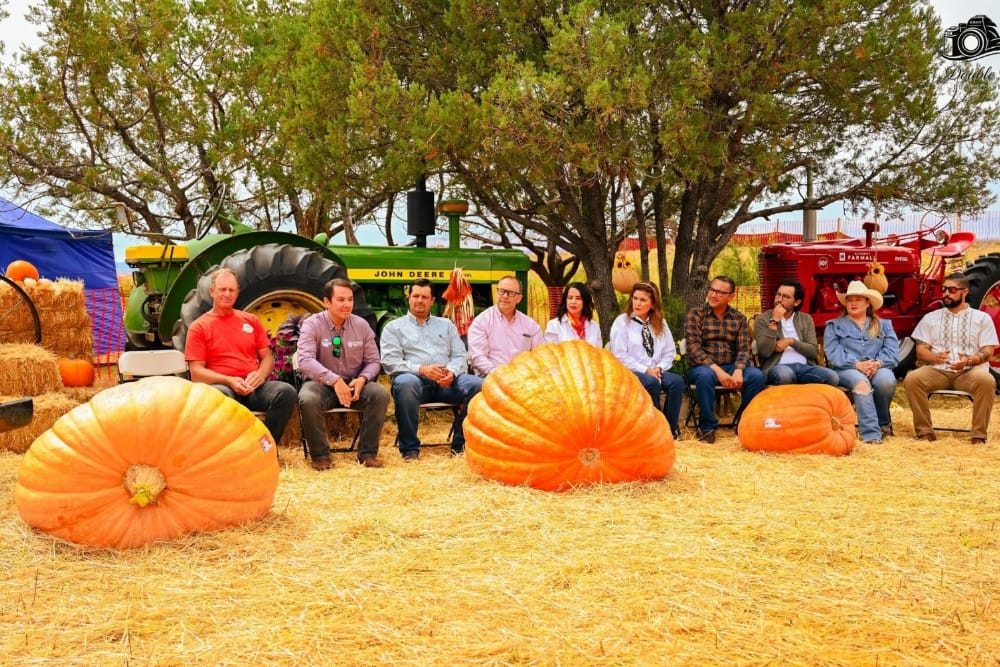 Festival Menonita de Otoño 2026: El encuentro cultural y gastronómico de Chihuahua