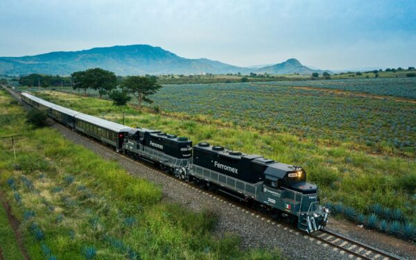 Vive la experiencia de viajar en el Tequila Express y descubre el paisaje agavero