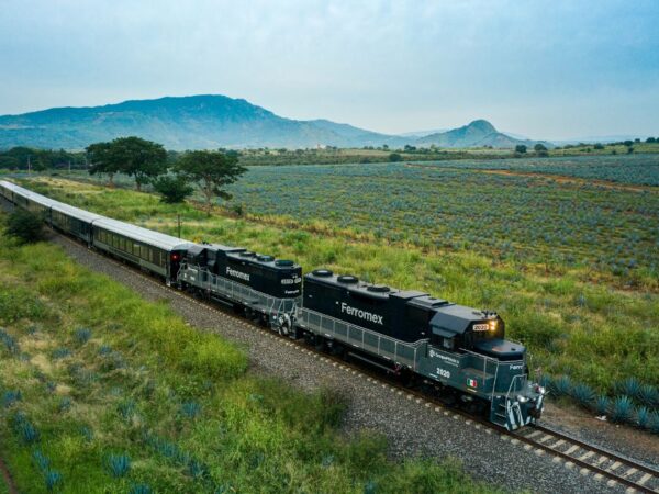 Vive la experiencia de viajar en el Tequila Express y descubre el paisaje agavero