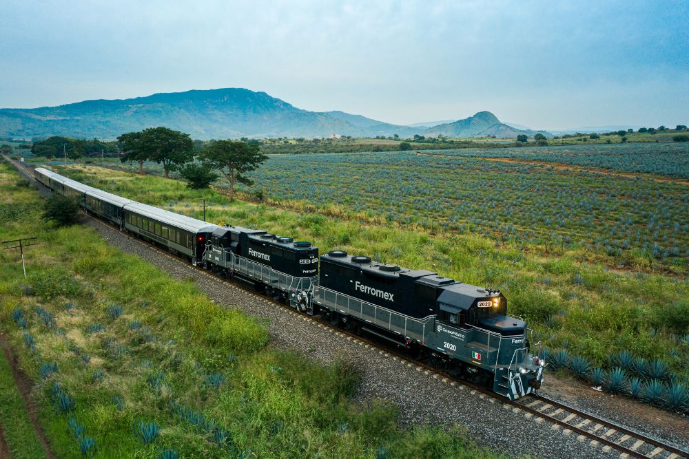 Vive la experiencia de viajar en el Tequila Express y descubre el paisaje agavero