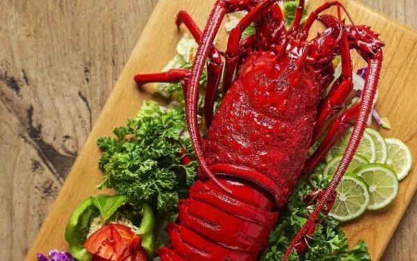 Langosta de Puerto Nuevo: historia, origen y tradición de un ícono culinario de Rosarito