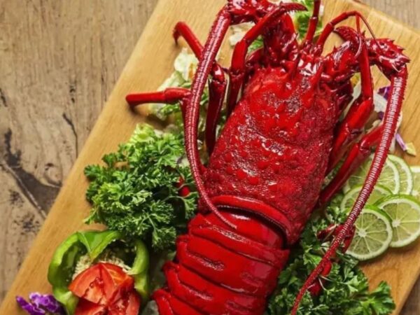Langosta de Puerto Nuevo: historia, origen y tradición de un ícono culinario de Rosarito