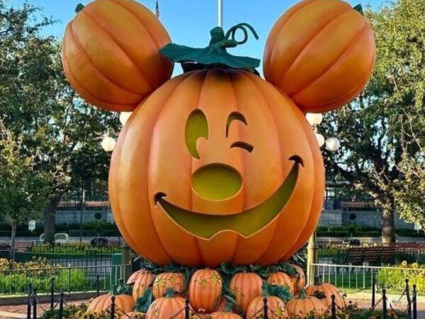 Cuatro experiencias para celebrar Halloween en el sur de California